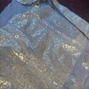 Shimmering Silver saree light grey
